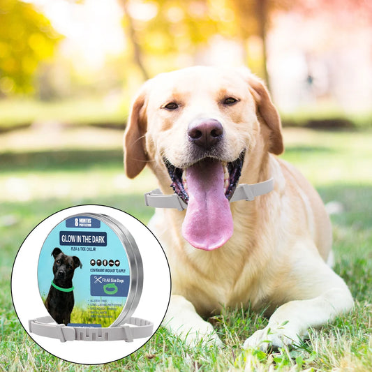 1-3Pcs Dog Calming Pheromone Collars Cats Relieve Anxiety