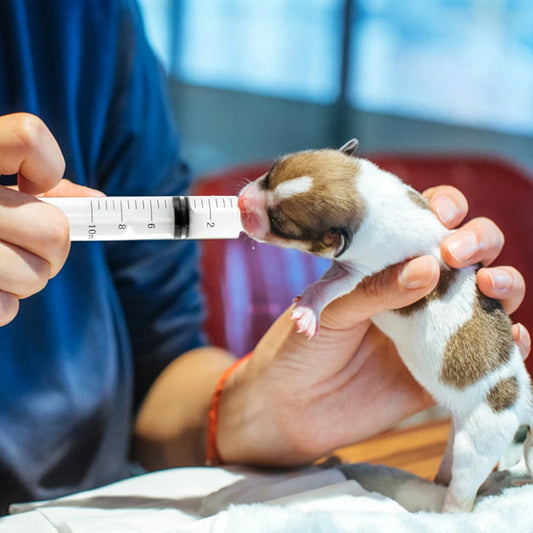 5 pcs  Measuring Plastic Syringe