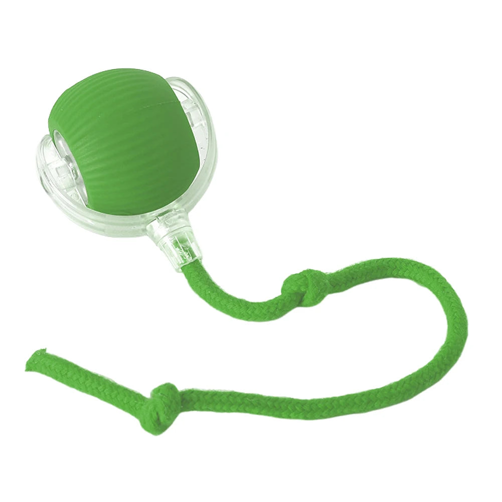 Self Rotating Ball for Indoor Cat Kitten