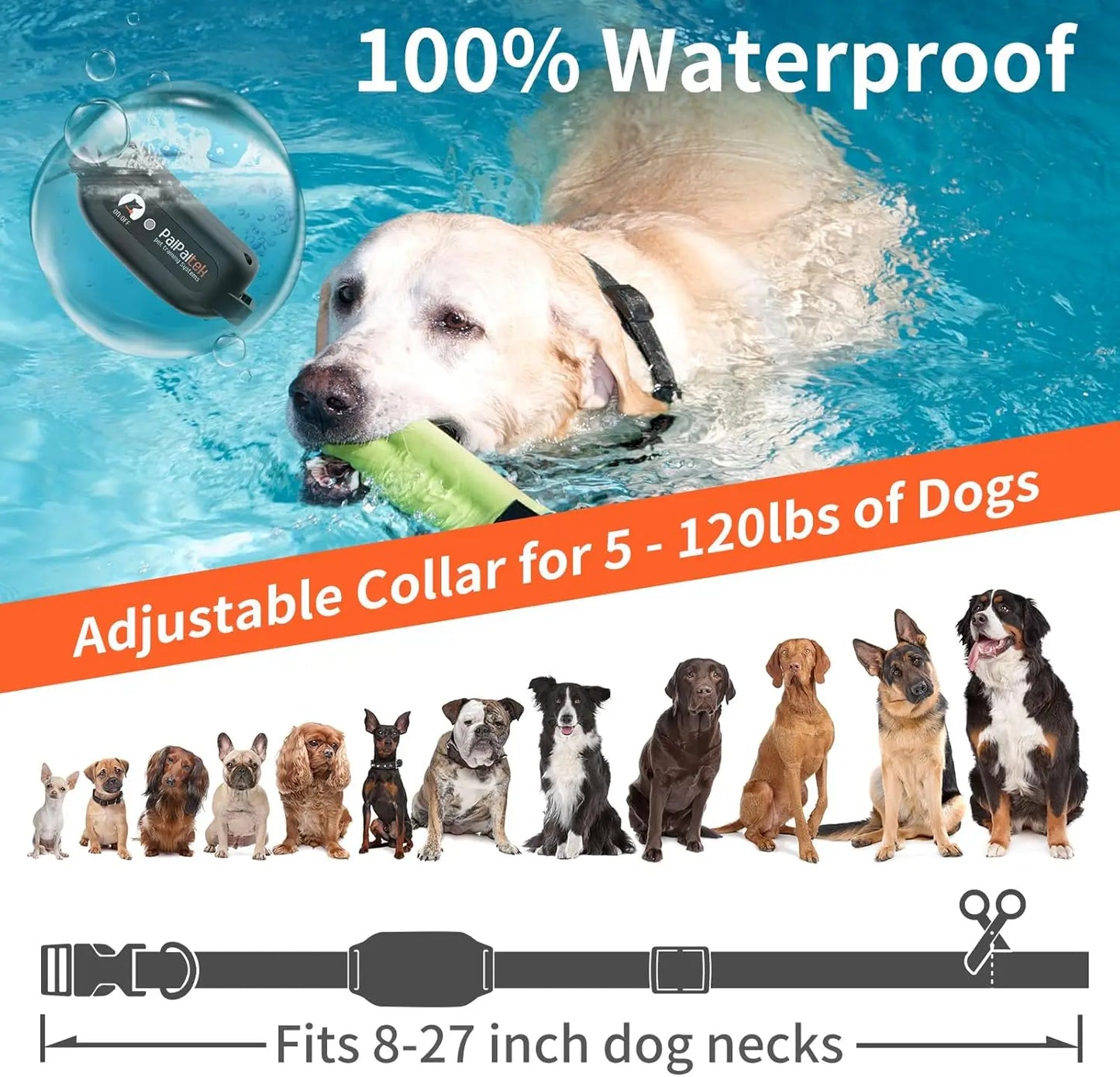 No Shock Dog Training Collar,