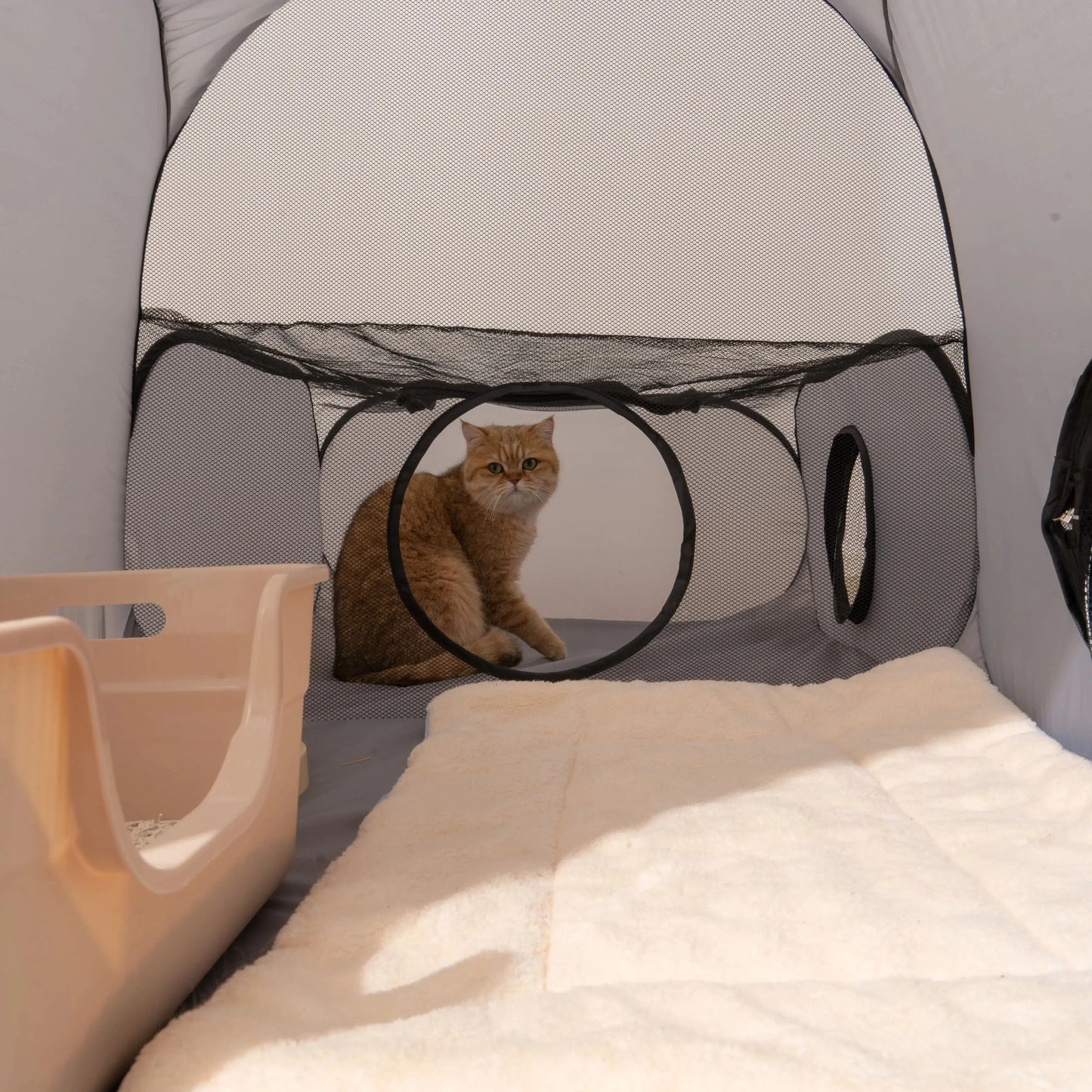 Cats and Dogs Delivery Room with a Play Tunnel