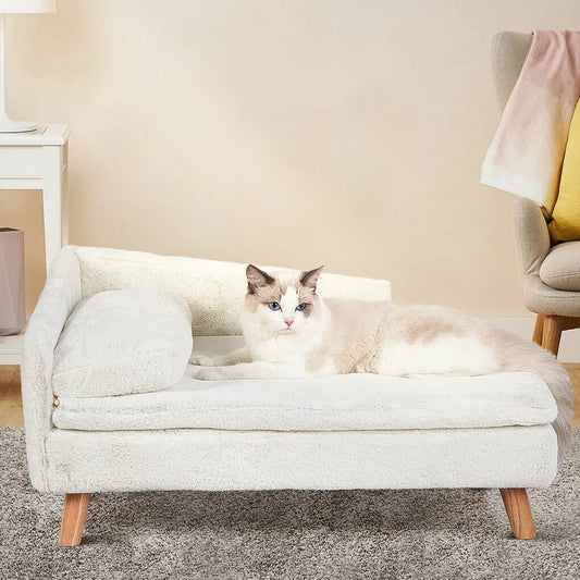 Elevated Pet Bed with Soft Cushion