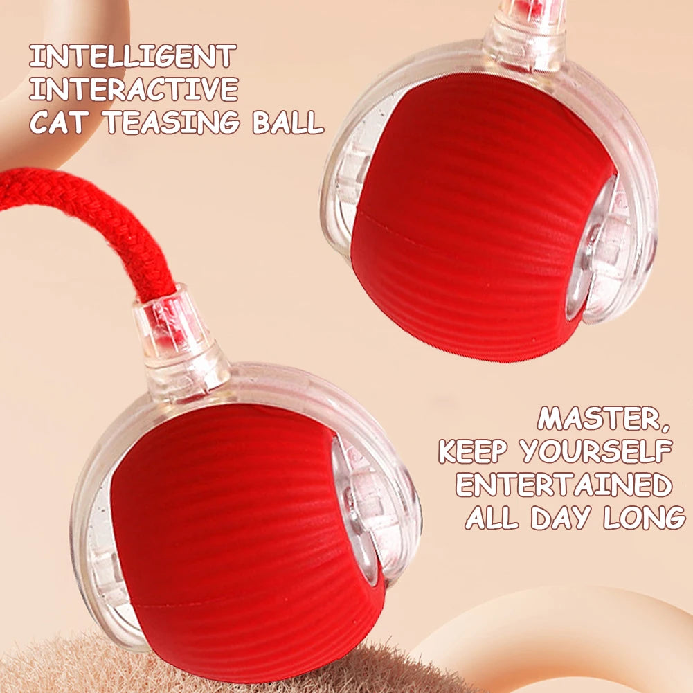 Self Rotating Ball for Indoor Cat Kitten