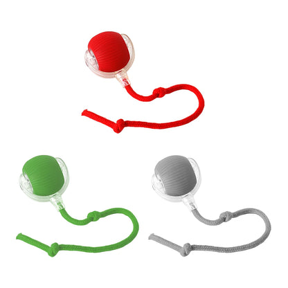 Self Rotating Ball for Indoor Cat Kitten