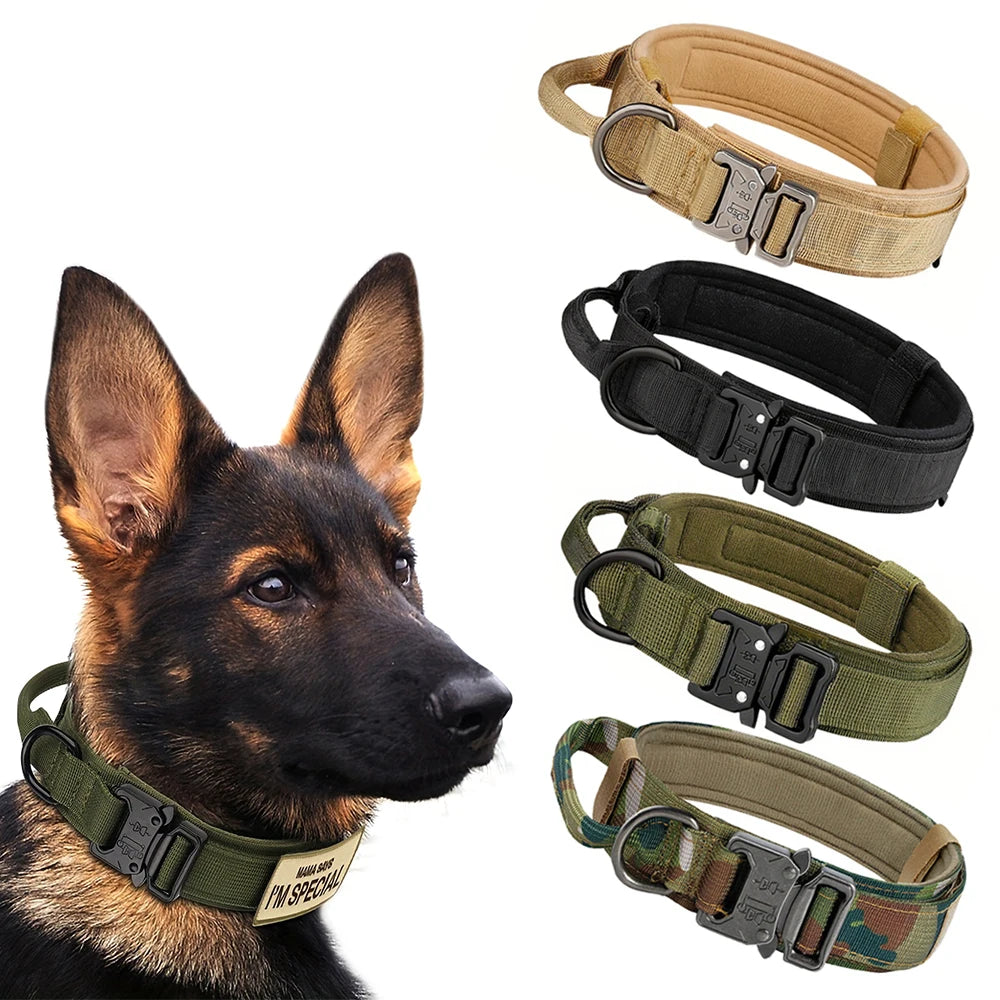 Dog Training Collar And Leash Set