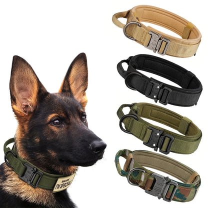 Dog Training Collar And Leash Set