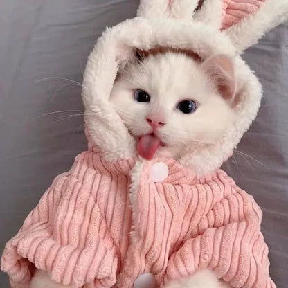 Warm Winter Clothes for Kittens Cute Bunny Appearance Cat Clothes Puppy Cute Coat Cats Dog Supplies Pet Products Home Garden