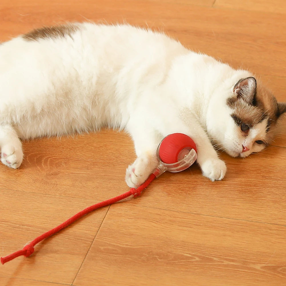 Self Rotating Ball for Indoor Cat Kitten