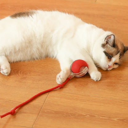Self Rotating Ball for Indoor Cat Kitten