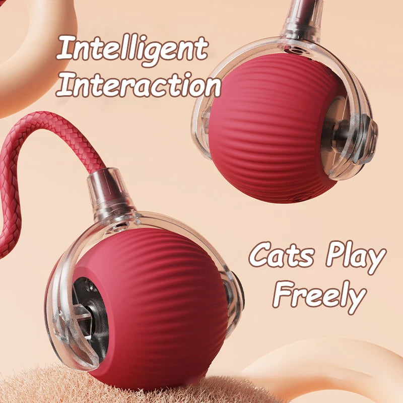 2Pcs Cat Interactive Ball Toys