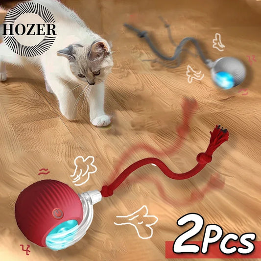 2Pcs Cat Interactive Ball Toys