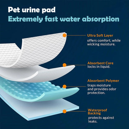Disposable absorbent dog training pads -