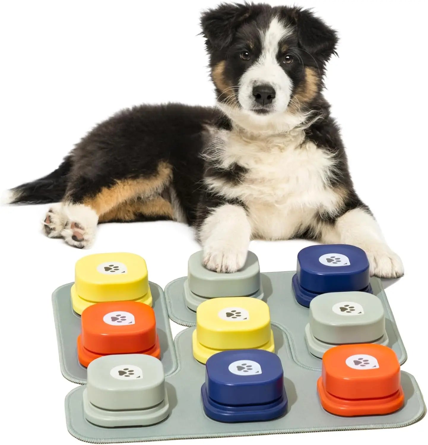 Dog Buttons with Rubber Mat Recordable Dog Talking Buttons Set