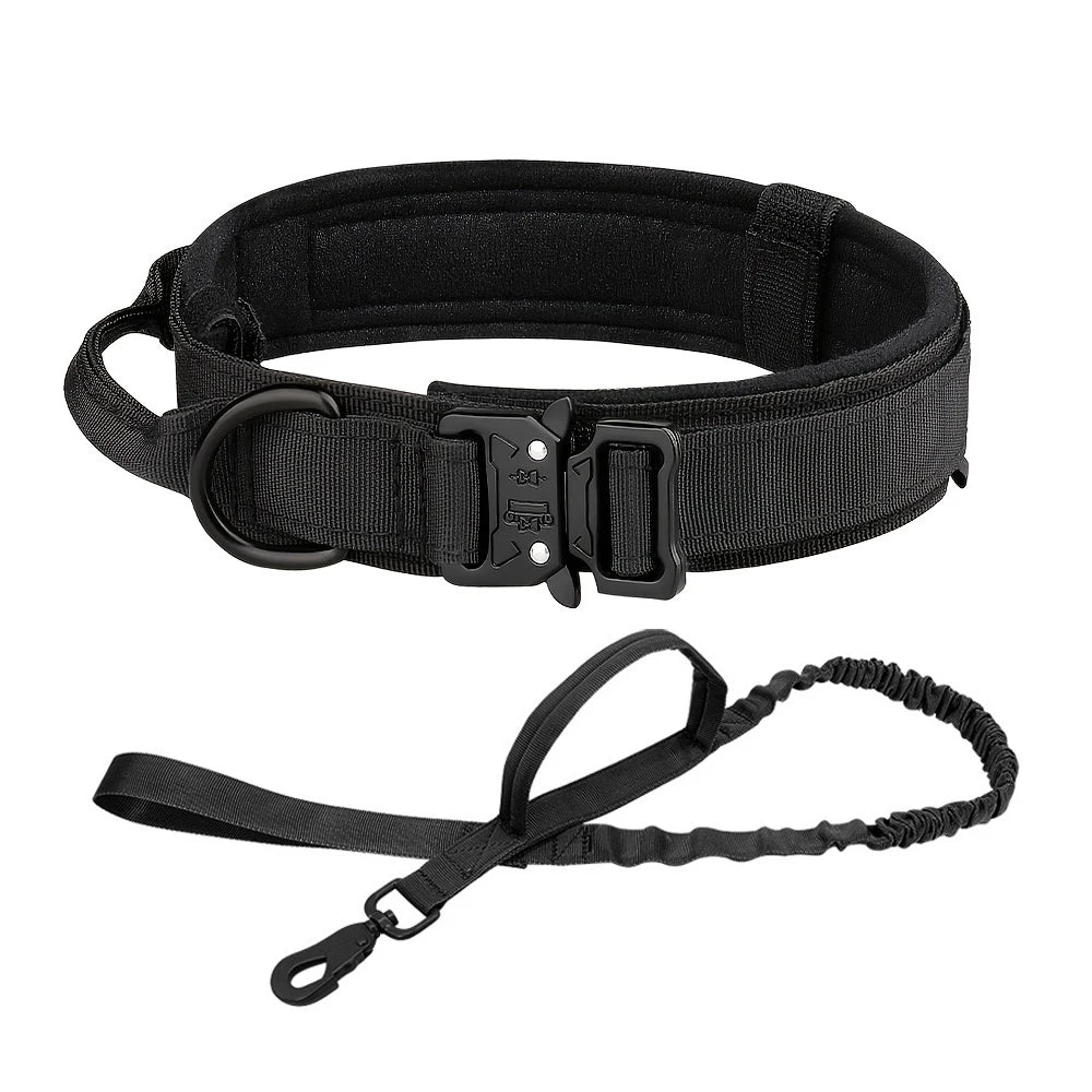 Dog Training Collar And Leash Set