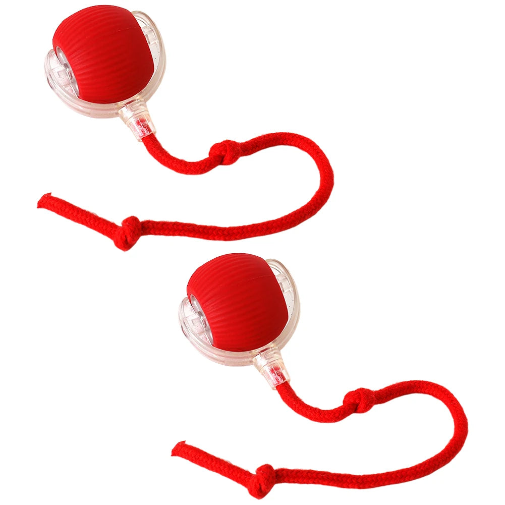 Self Rotating Ball for Indoor Cat Kitten