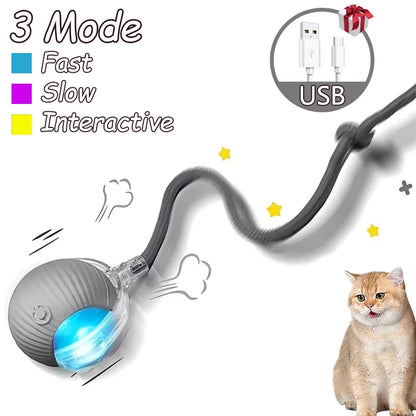 2Pcs Cat Interactive Ball Toys