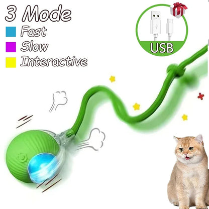 2Pcs Cat Interactive Ball Toys