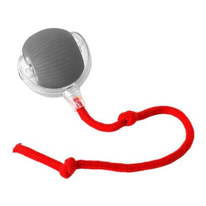 Self Rotating Ball for Indoor Cat Kitten