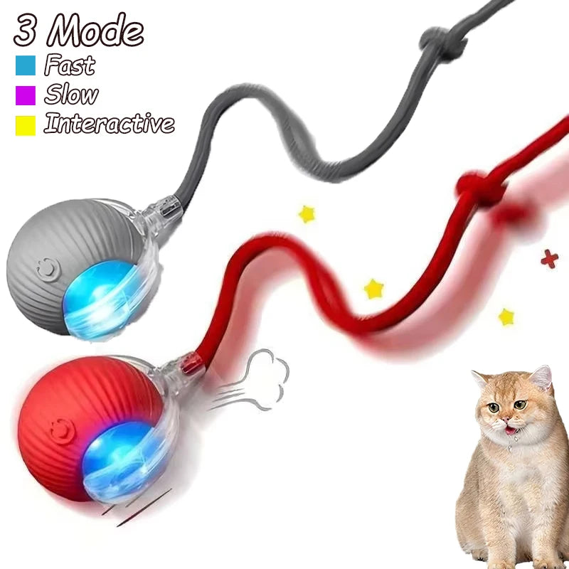 2Pcs Cat Interactive Ball Toys